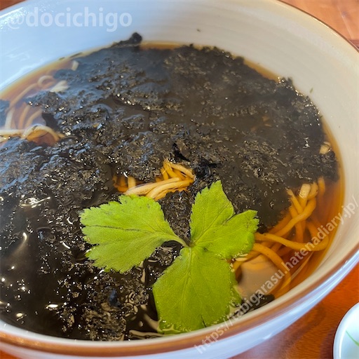 f:id:docichigo:20220424103619j:image f:id:docichigo:20220424103619j:image