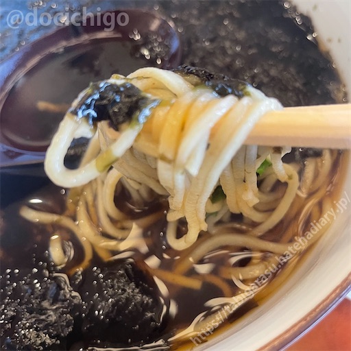 f:id:docichigo:20220424103625j:image f:id:docichigo:20220424103625j:image