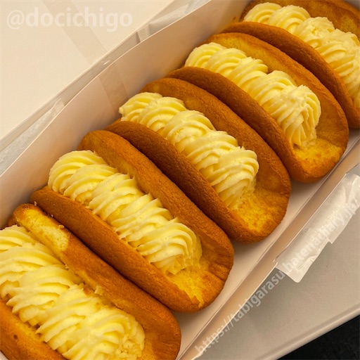 f:id:docichigo:20220515204045j:image