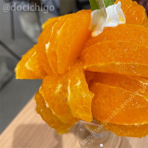 f:id:docichigo:20220618170056j:image f:id:docichigo:20220618170056j:image