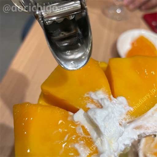 f:id:docichigo:20220618170101j:image f:id:docichigo:20220618170101j:image