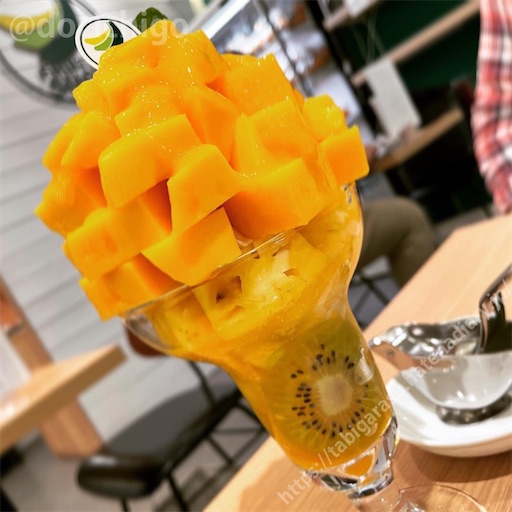 f:id:docichigo:20220618170103j:image f:id:docichigo:20220618170103j:image