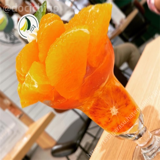 f:id:docichigo:20220618170110j:image f:id:docichigo:20220618170110j:image