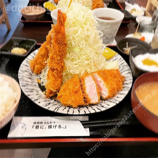 f:id:docichigo:20220619194849j:image