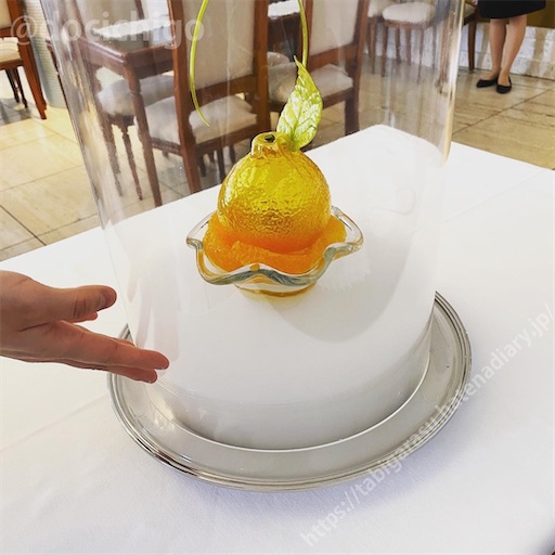 f:id:docichigo:20220724205543j:image f:id:docichigo:20220724205543j:image