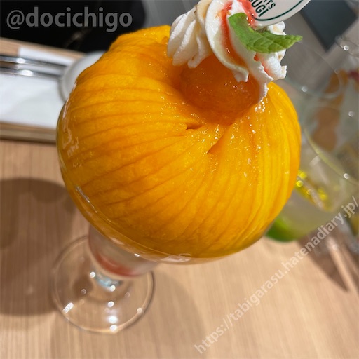 f:id:docichigo:20220731200823j:image f:id:docichigo:20220731200823j:image