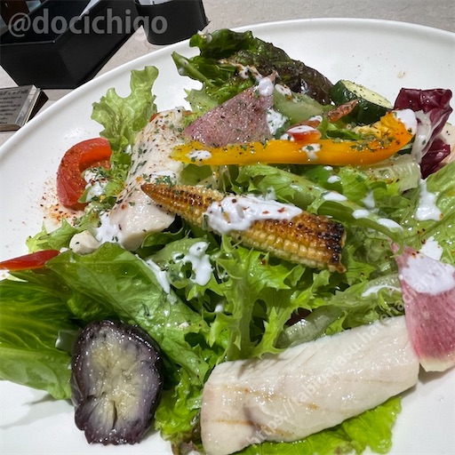 f:id:docichigo:20220731215901j:image