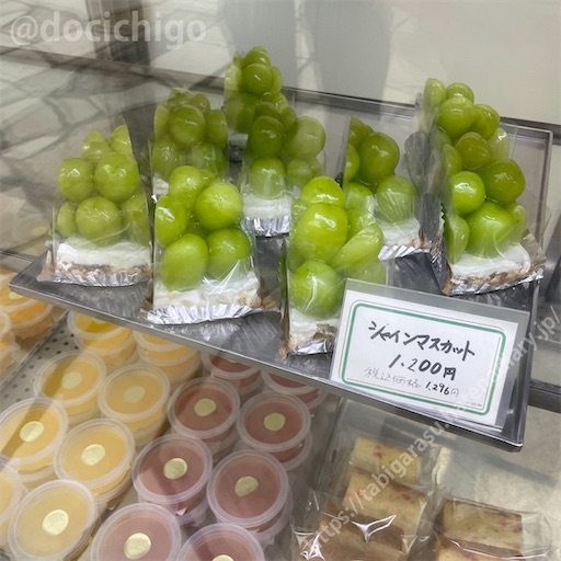 f:id:docichigo:20220814122122j:image