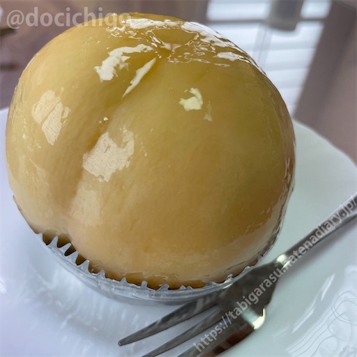 f:id:docichigo:20220814122128j:image