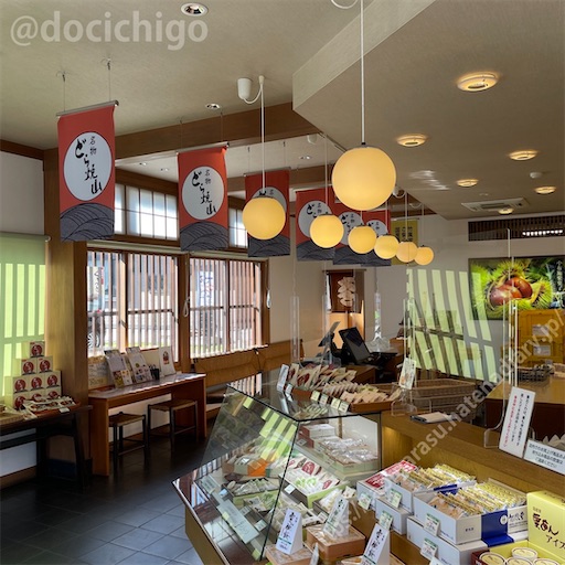 f:id:docichigo:20221113144840j:image