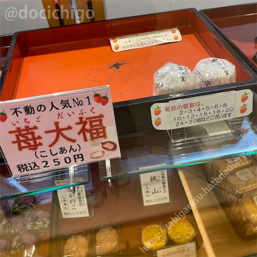 f:id:docichigo:20221120104133j:image f:id:docichigo:20221120104133j:image