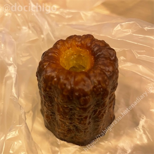 f:id:docichigo:20221120135152j:image