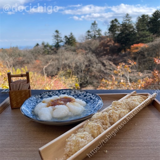 f:id:docichigo:20221127150759j:image