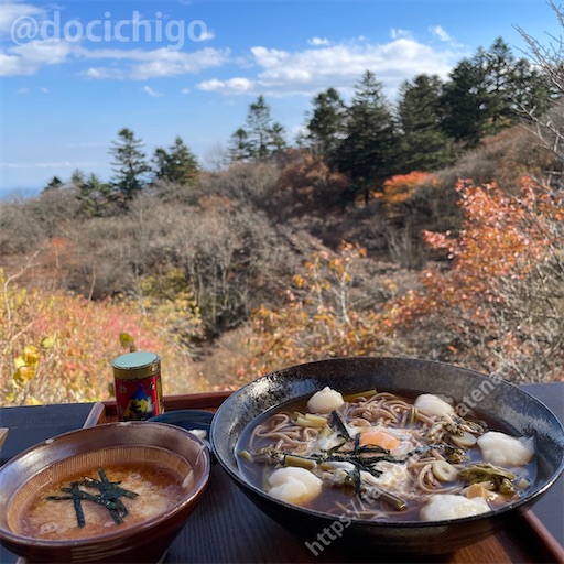 f:id:docichigo:20221127173327j:image