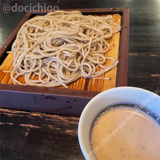 f:id:docichigo:20221204171150j:image