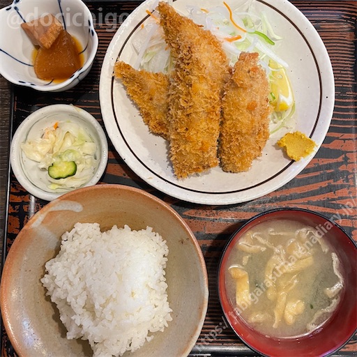 f:id:docichigo:20221211210843j:image