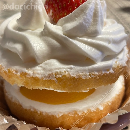 f:id:docichigo:20221225142703j:image f:id:docichigo:20221225142703j:image