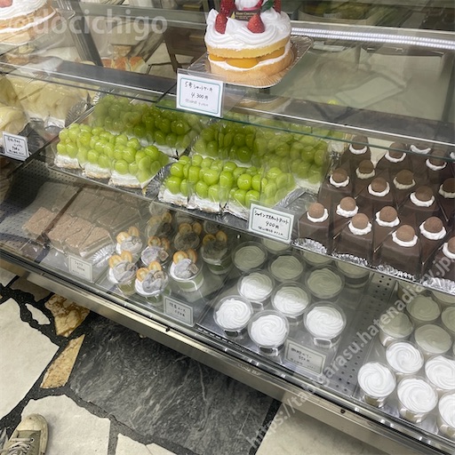 f:id:docichigo:20221225142706j:image f:id:docichigo:20221225142706j:image