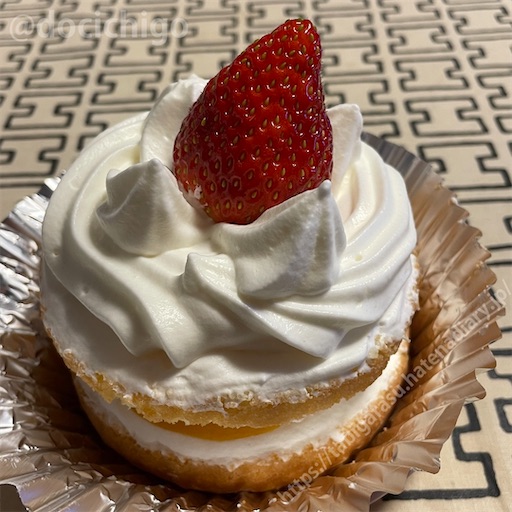 f:id:docichigo:20221225142711j:image f:id:docichigo:20221225142711j:image