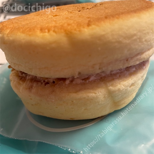 f:id:docichigo:20230103180933j:image