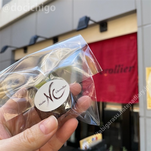 f:id:docichigo:20230103204609j:image f:id:docichigo:20230103204609j:image