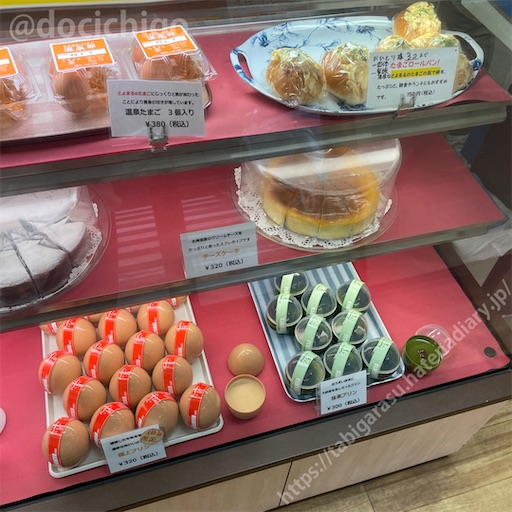 f:id:docichigo:20230120100649j:image