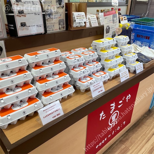 f:id:docichigo:20230120100700j:image