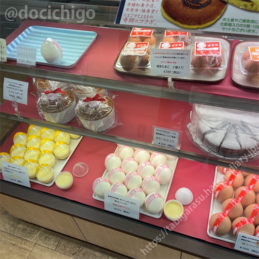 f:id:docichigo:20230120100710j:image