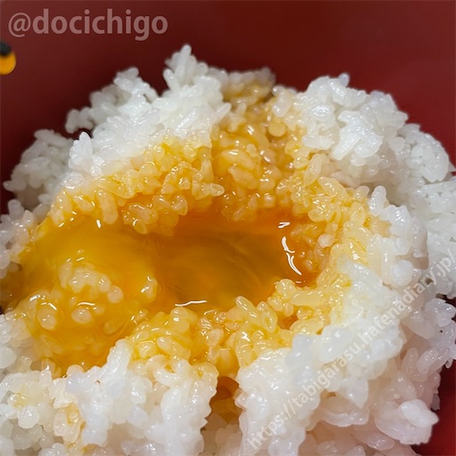 f:id:docichigo:20230120100714j:image