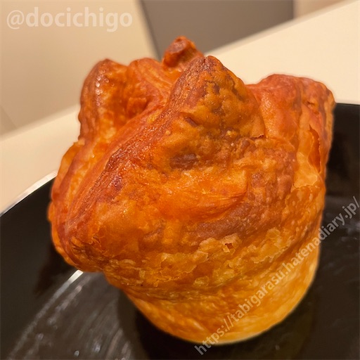 f:id:docichigo:20230120214544j:image
