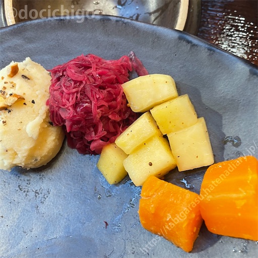 f:id:docichigo:20230122201848j:image