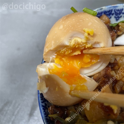 f:id:docichigo:20230129193737j:image