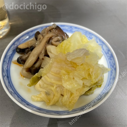 f:id:docichigo:20230129193747j:image