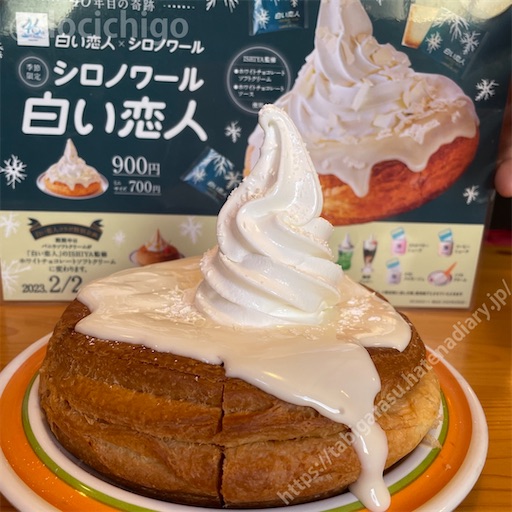 f:id:docichigo:20230205133445j:image
