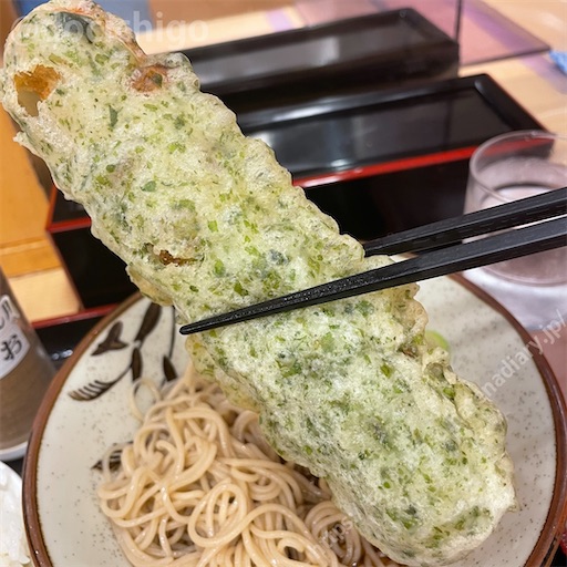 f:id:docichigo:20230205140810j:image f:id:docichigo:20230205140810j:image