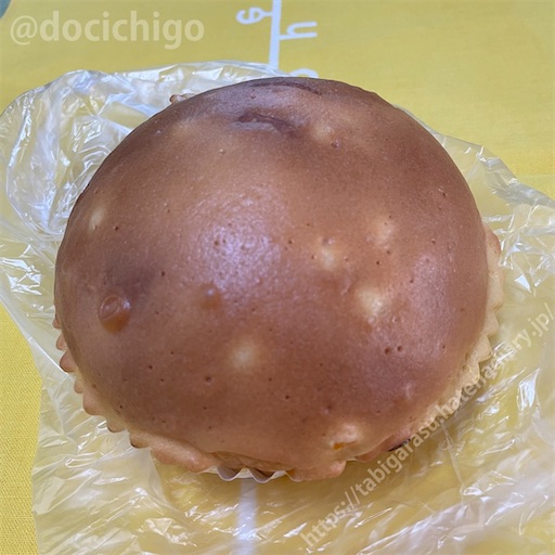 f:id:docichigo:20230321095901j:image