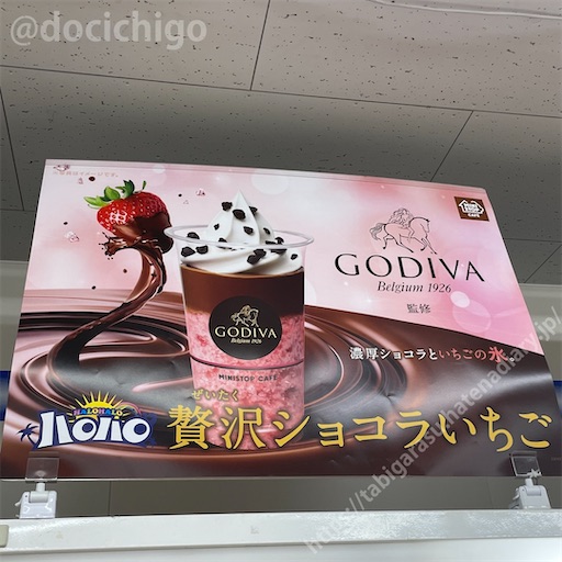 f:id:docichigo:20230328091508j:image
