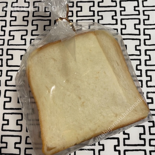 f:id:docichigo:20230416193743j:image