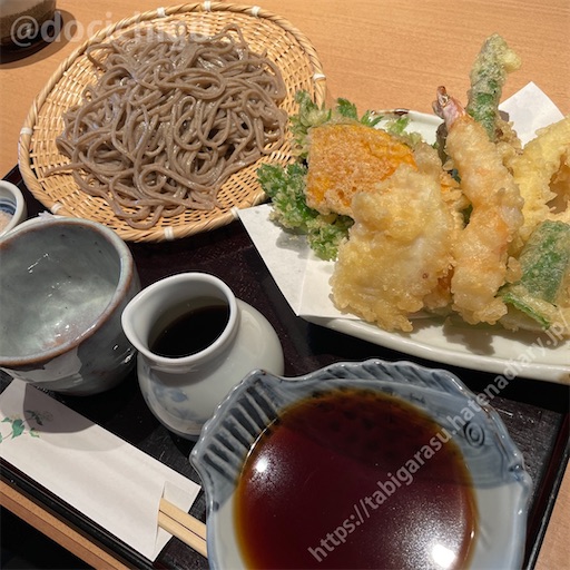 f:id:docichigo:20230423151931j:image