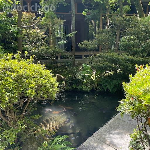 f:id:docichigo:20230507195928j:image f:id:docichigo:20230507195928j:image