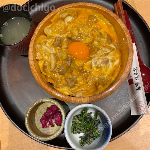 f:id:docichigo:20230528215314j:image