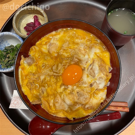 f:id:docichigo:20230528215332j:image
