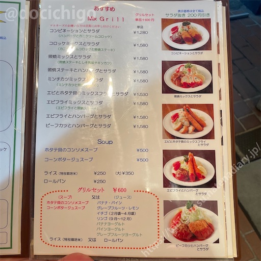 f:id:docichigo:20230618093231j:image