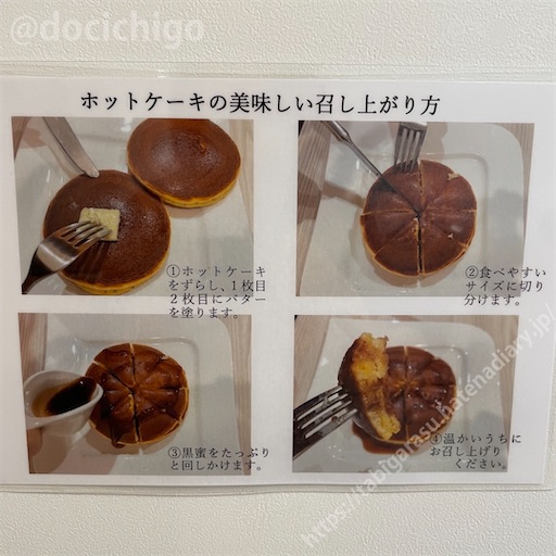 f:id:docichigo:20230618181638j:image