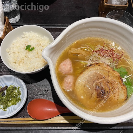 f:id:docichigo:20230618191327j:image