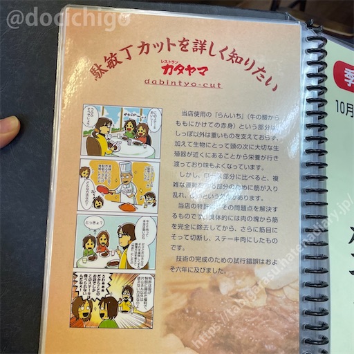 f:id:docichigo:20230702204539j:image