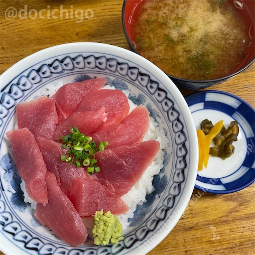 f:id:docichigo:20230709201719j:image