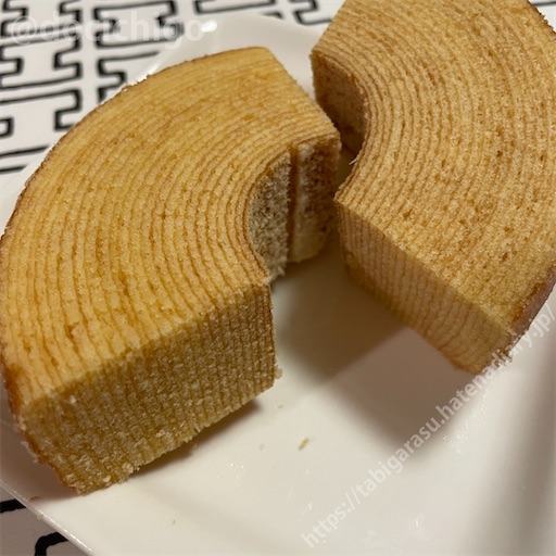 f:id:docichigo:20230709213414j:image
