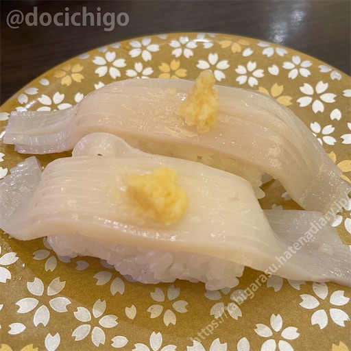 f:id:docichigo:20230716195519j:image