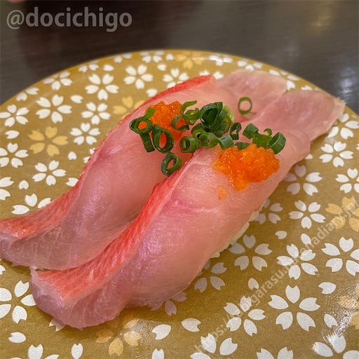 f:id:docichigo:20230716195529j:image